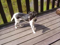 Resize of P8190040.JPG